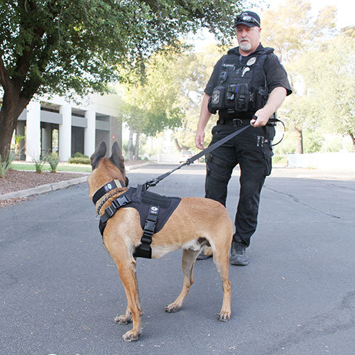 k9-officer-in-black-tactical-harness