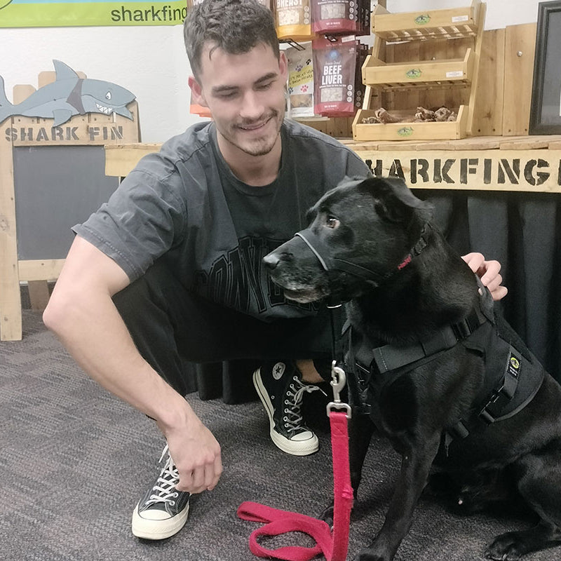 black labrador service dog and veteran