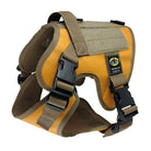 Small Tactical Dog Harness Blazing Sun Orange with Nexus Buckles