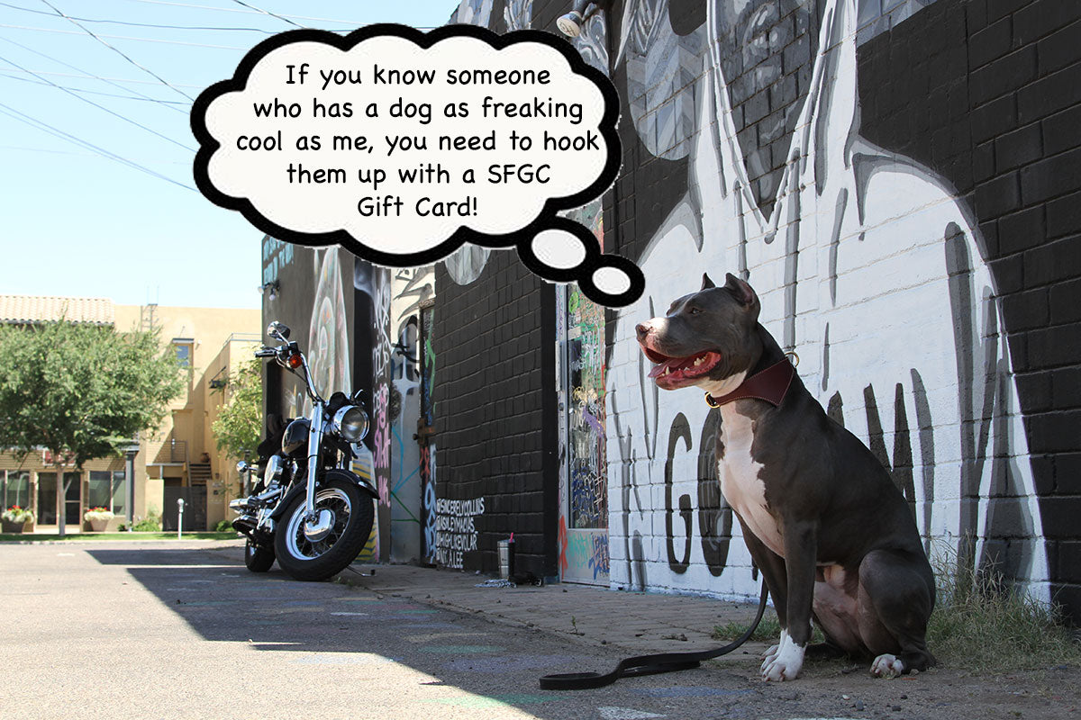 $75 gift card shark fin gear company