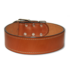 large dog leather collar urban classic 2 inch wide collar biker summer tan