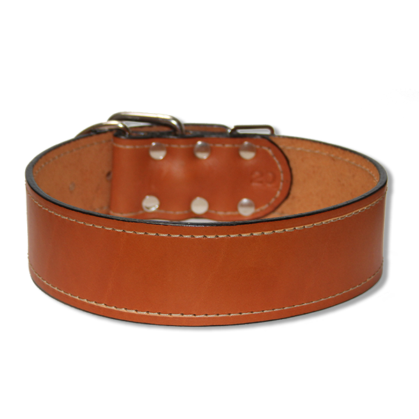 large dog leather collar urban classic 2 inch wide collar biker summer tan