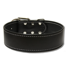large dog leather collar urban classic 2 inch wide collar biker jacket black