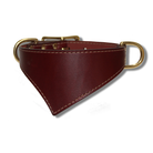 shark fin collar urban classic style james bond burgundy with brass hardware