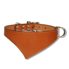 shark fin collar urban classic style summer tan with nickel