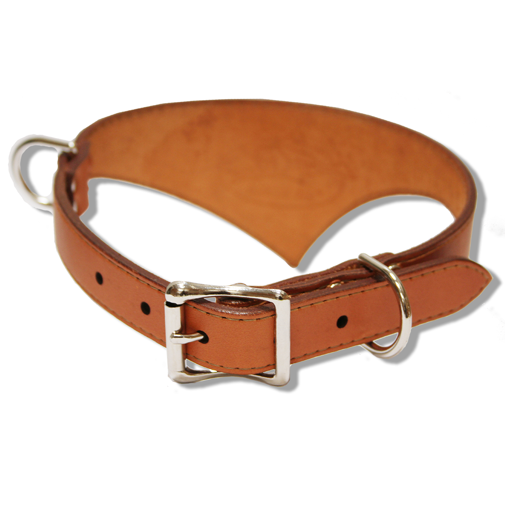 shark fin collar urban classic style summer tan with nickel
