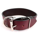 2 inch leather collar burgandy