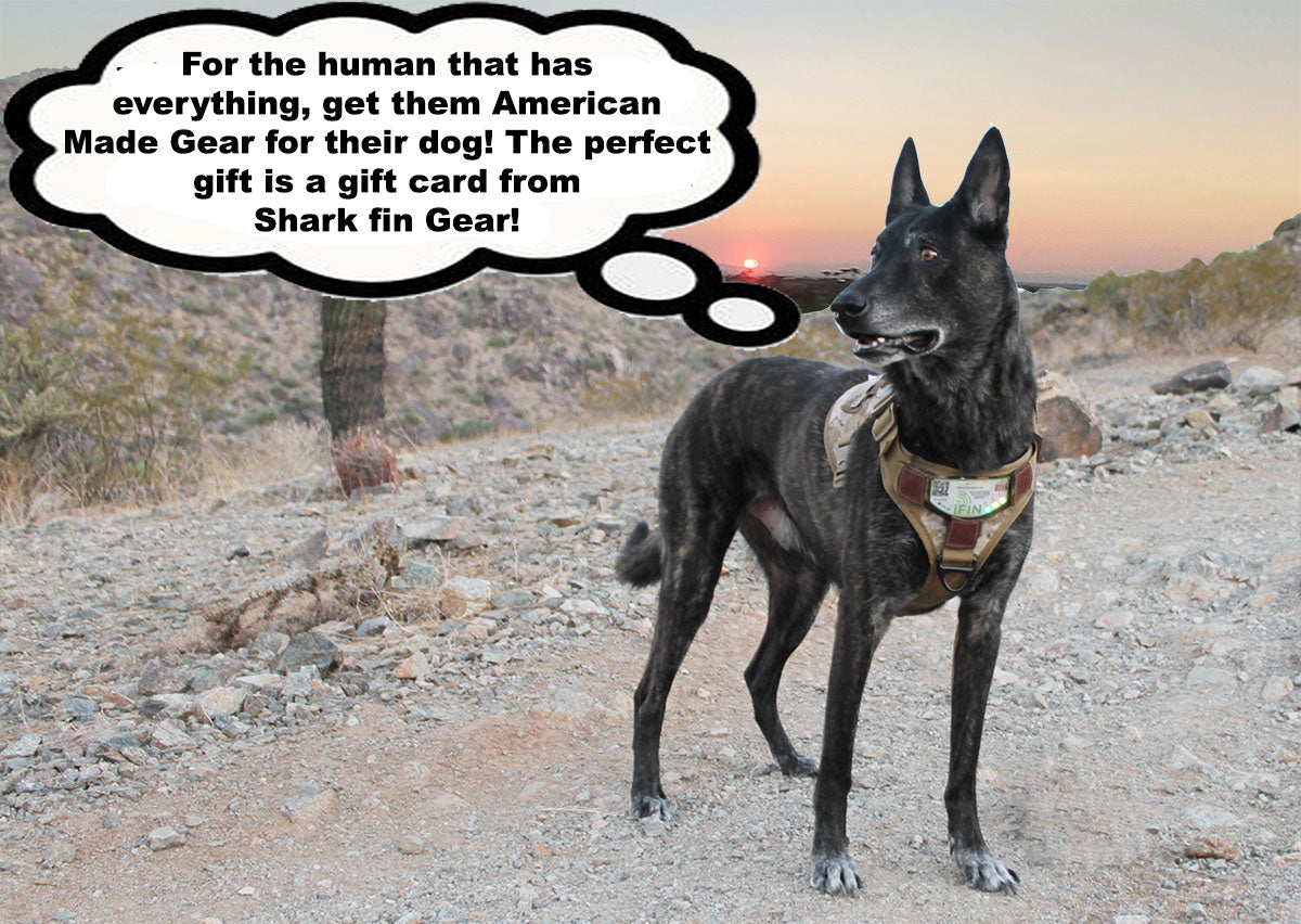 $300 dollar gift card