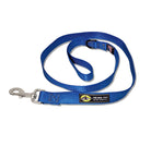dog leash blue 48 inch nickel snap