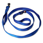 dog leash blue 72 inch black snap