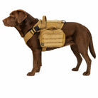 backpack on large harness, harness not included, must be purchased separately