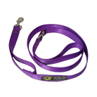 dog leash purple 48 inch nickel snap