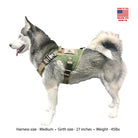 medium tactical dog harness pinetop forest green with nexus buckles