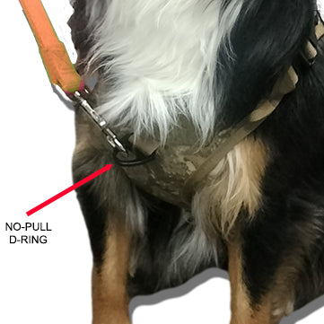 no pull d-ring on dog harness