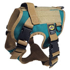 small  tactical dog harness turquoise with nexus buckle