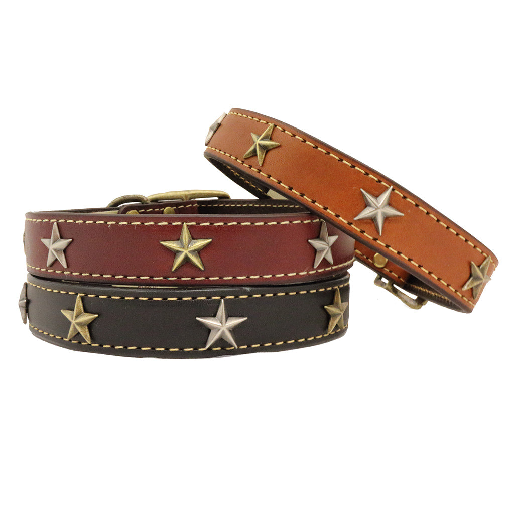 high quality handmade leather dog collar adorned with brass stars black burgundy tan