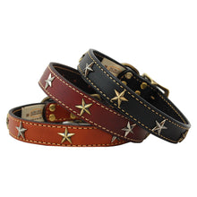 High Quality handmade leather dog collar adorned with brass stars