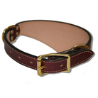 Shark Fin™ Collar, Trail Classic Style, Burgundy with Brass Hardware