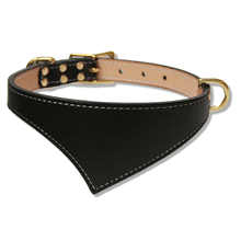 Shark Fin™ Collar, Trail Classic Style, Black with Brass Hardware