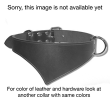 Shark Fin™ Collar, image not available
