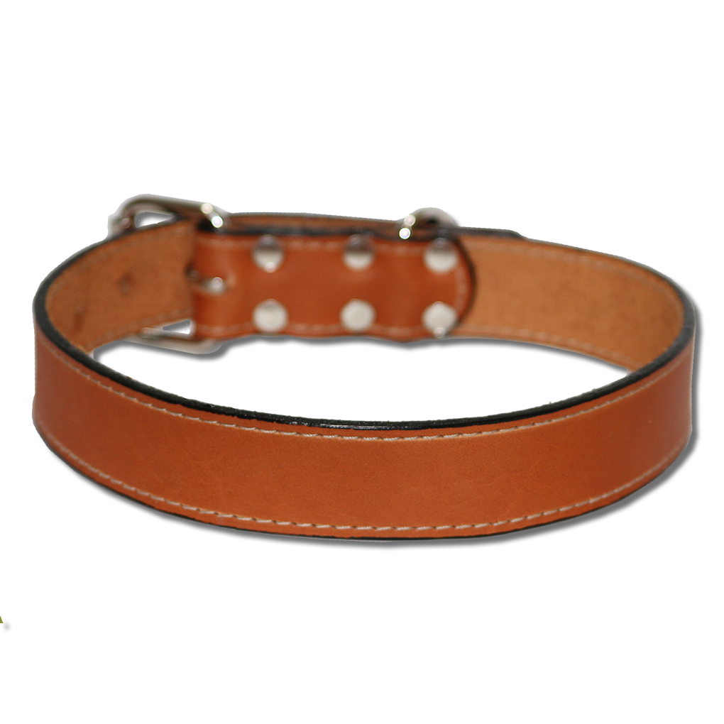 big dog leather dog collar  urban  classic dog collar summer tan 2 inch
