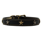 high quality handmade leather dog collar adorned with brass stars color black