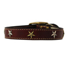 high quality handmade leather dog collar adorned with brass stars color burgundy