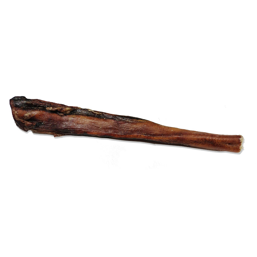 large beef bully stick