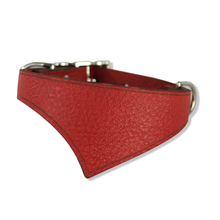 Baby Shark Fin® West Coast Collar