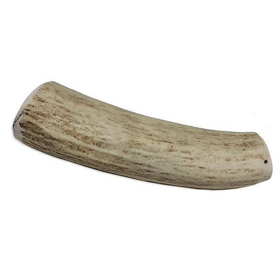Elk Antler Whole Small - On clearance! – Shark Fin Gear Company