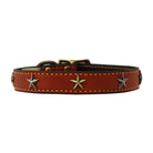 high quality handmade leather dog collar adorned with brass stars color tan