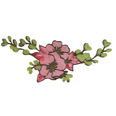 Hand Painted Flowers